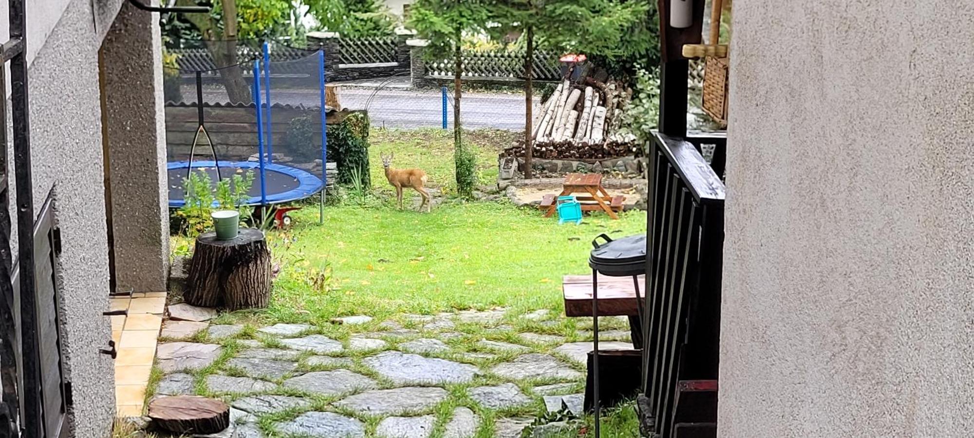 Huette Auf 1000M Hoehe In Moenichkirchen. Zewnętrze zdjęcie